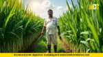 PM Kisan farmer registration