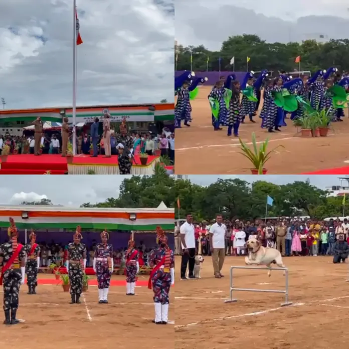 InShot_20250815_110505812