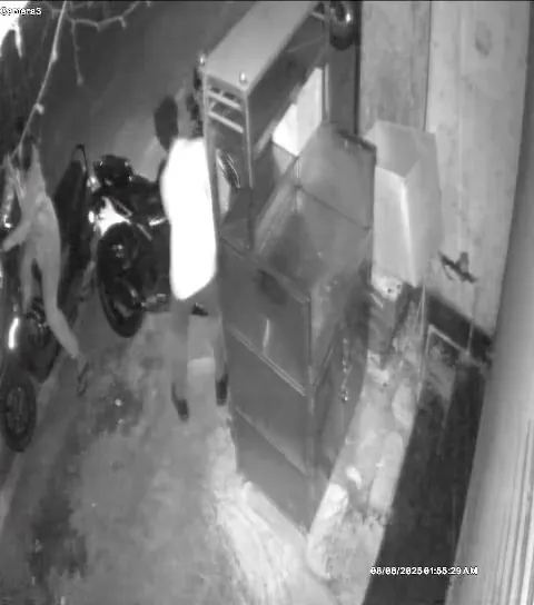 Videoshot_20250808_190446