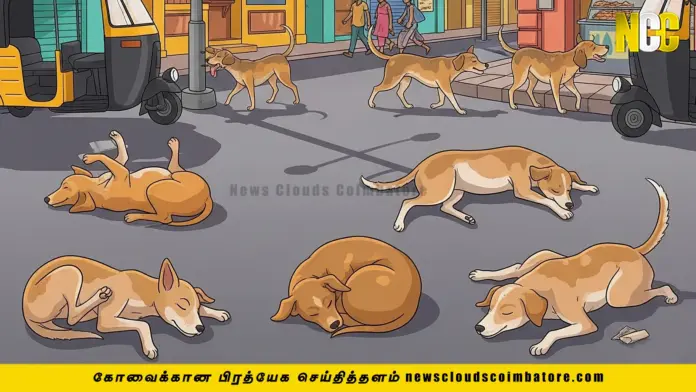 stray dogs