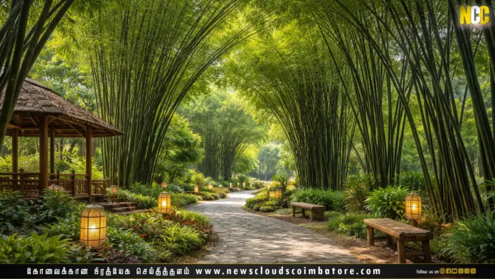 Bamboo park Coimbatore greenery
