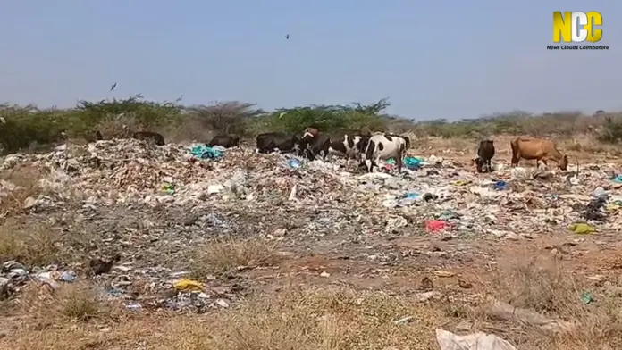 சுண்டக்காமுத்தூர்