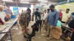 Sniffer dog checking devotees