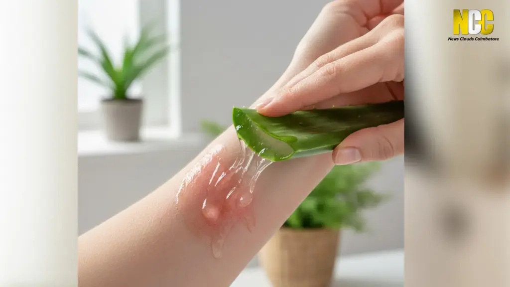 aloe vera for cuts 