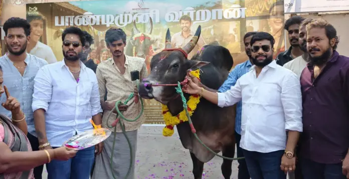 Jallikattu bull brought to theatre for Vadam movie