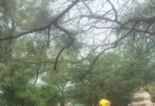 Noormohamed nomination filing