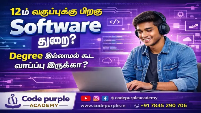 Software career guide after 12th