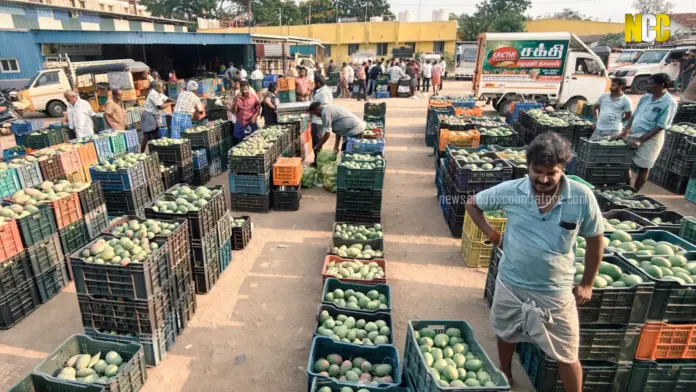 mango shops coimbatore