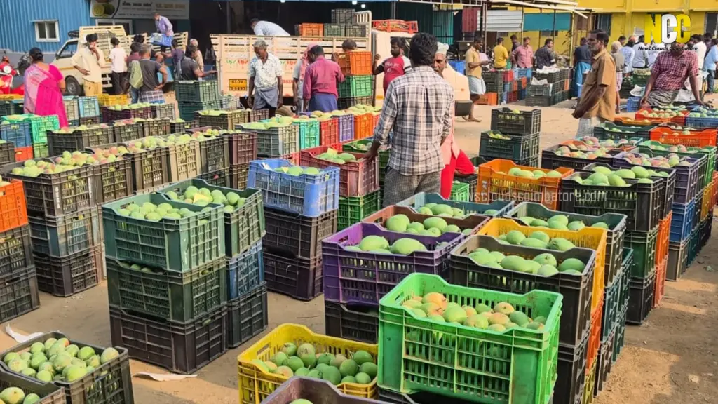 mango shops coimbatore