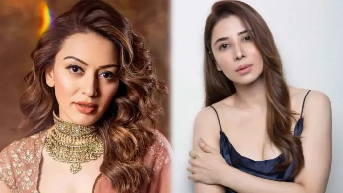 Hansika Motwani Files Defamation Suit Against Sister-in-Law Over Domestic Violence Claims