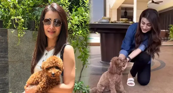 Trisha entered the temple with a dog.. a controversy erupted!