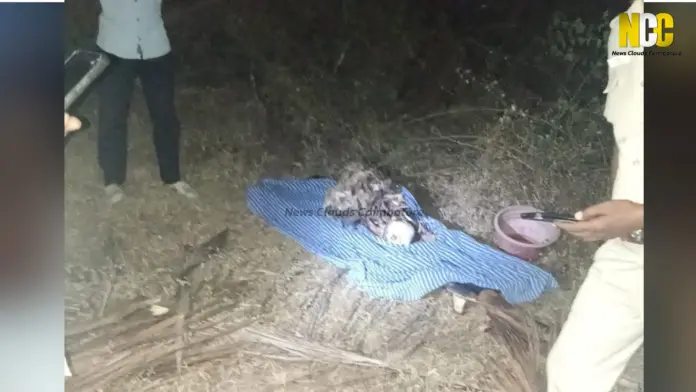 negamam-human-skeleton-investigation நெகமம் அருகே தோட்டத்தில் மனித எலும்புக்கூடு கண்டெடுக்கப்பட்ட சம்பவம் பரபரப்பை ஏற்படுத்தி போலீசார் தீவிர விசாரணை நடத்தி வருகின்றனர். நெகமம் எலும்புக்கூடு, கோவை போலீஸ் விசாரணை, மனித எலும்புக்கூடு கண்டுபிடிப்பு, coimbatore news today, coimbatore latest news today, Negamam crime news, Pollachi latest news பொள்ளாச்சி குற்றச்செய்தி, என் சந்திராபுரம், கோவை பரபரப்பு செய்தி, coimbatore top 10 news channels, coimbatore top 10 news websites, human skeleton found, Tamil Nadu police Human skeleton found Coimbatore
