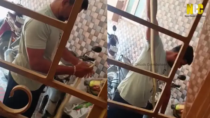 coimbatore snake incident viral