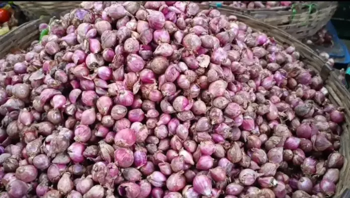 Small onion price forecast TNAU