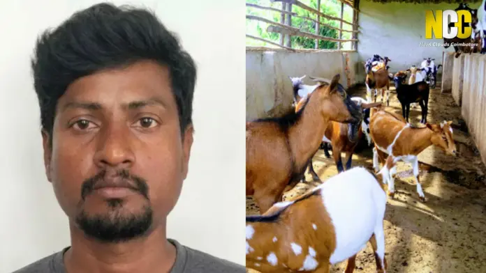 Goat abuse case arrest