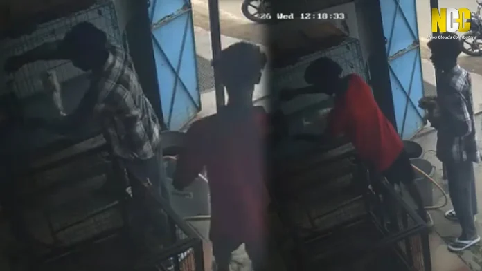 Dog and cat theft CCTV footage