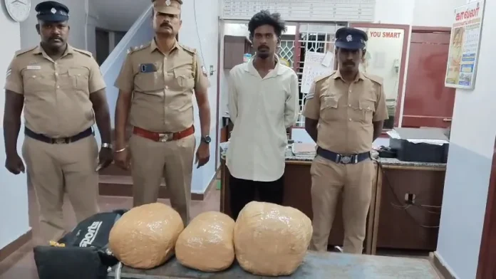 Kovilpalayam 21 kg ganja seizure