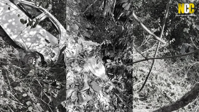 Attappadi Mulli Car Accident Kills Three from Nilgiris