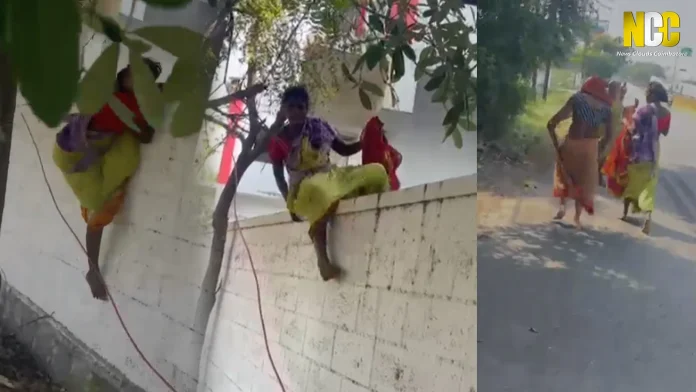 Sulur Viral Woman Video