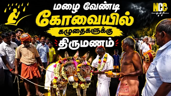 Coimbatore Donkey Marriage Rain Ritual