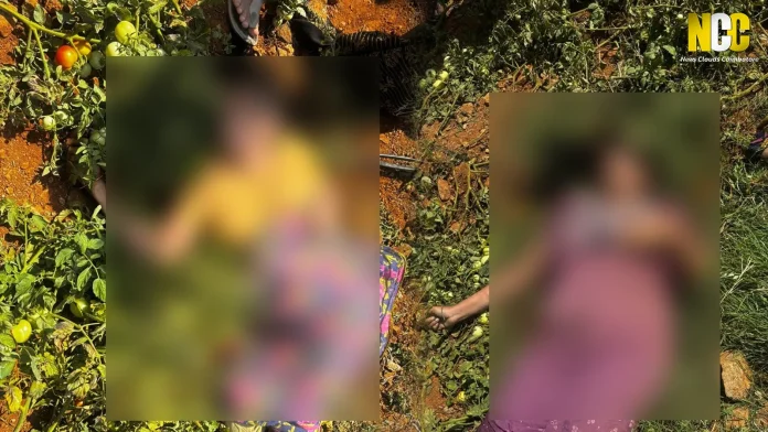Karamadai mother daughter drowning tragedy