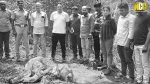 Elephant calf dies