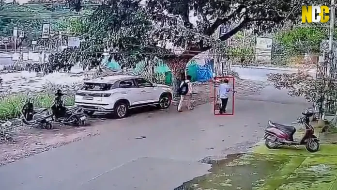 theft at citra