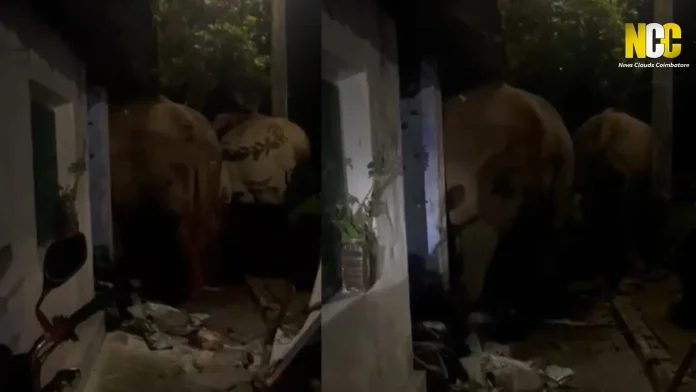 Wild elephants damage an Anganwadi centre