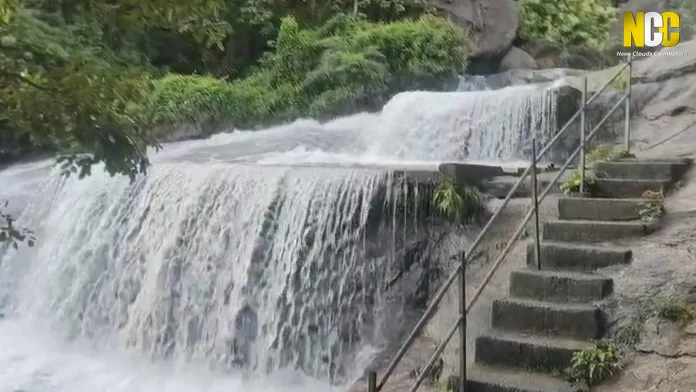 kovai kutralam news
