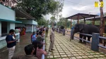 Sadivayal Elephant Camp